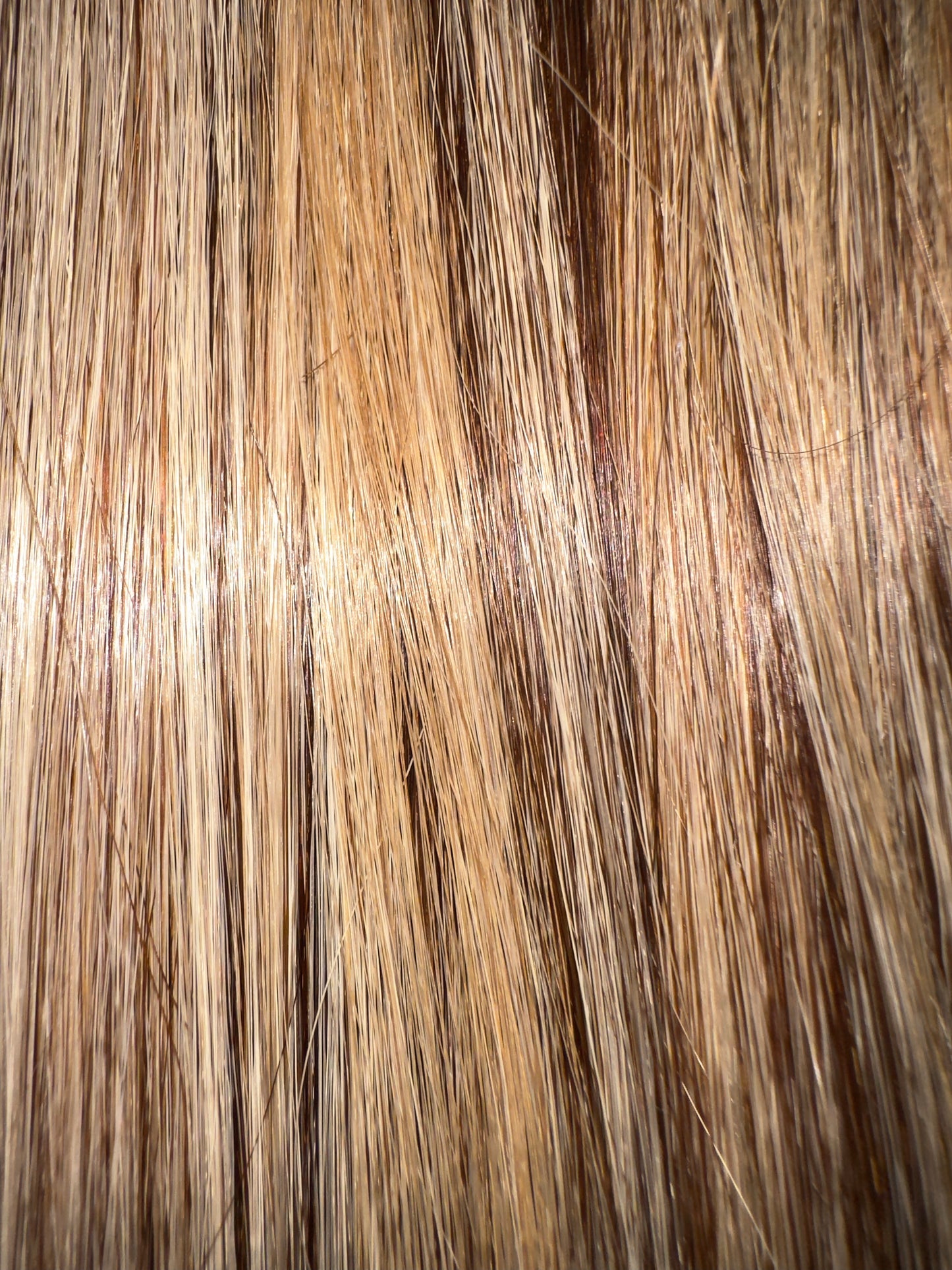 Fudge Ribbon